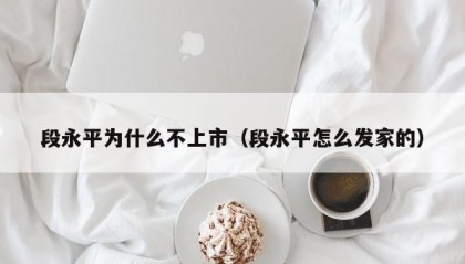 段永平为什么不上市（段永平怎么发家的）